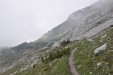 La mulattiera dell'Alpe Ramezza