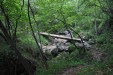 Ponticello in Val Fratta