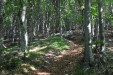In Val Fratta