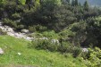 Verso Forcella Scarnia