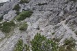Tratto dirupato sotto il Sasso di Scarnia
