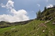 In salita verso Passo Pietena